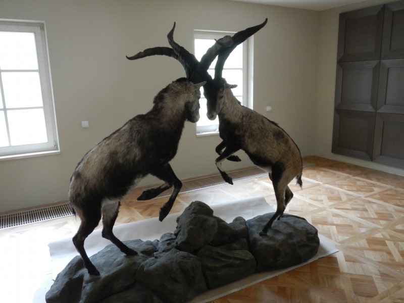 Hunting Trophy House in Berlin