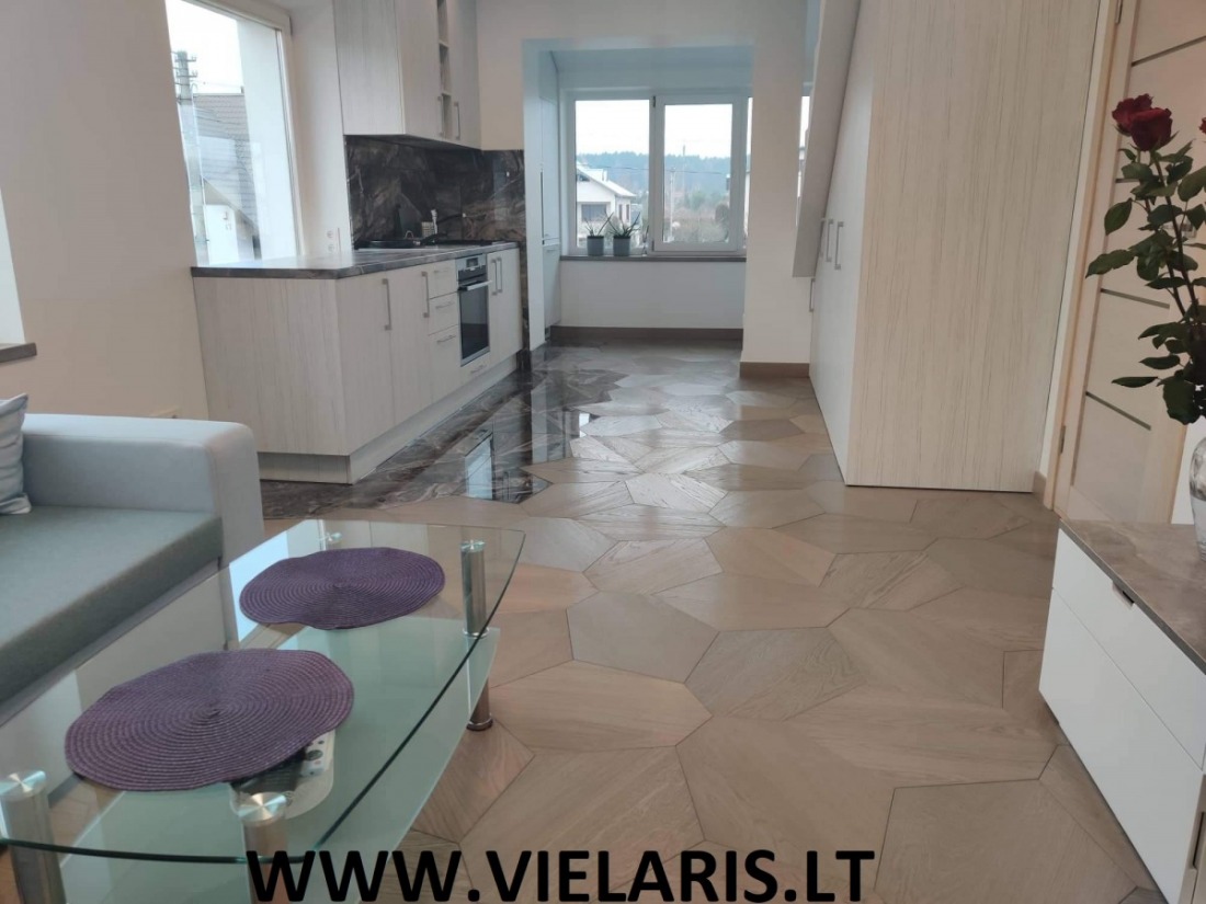 Apartment in Vilnius