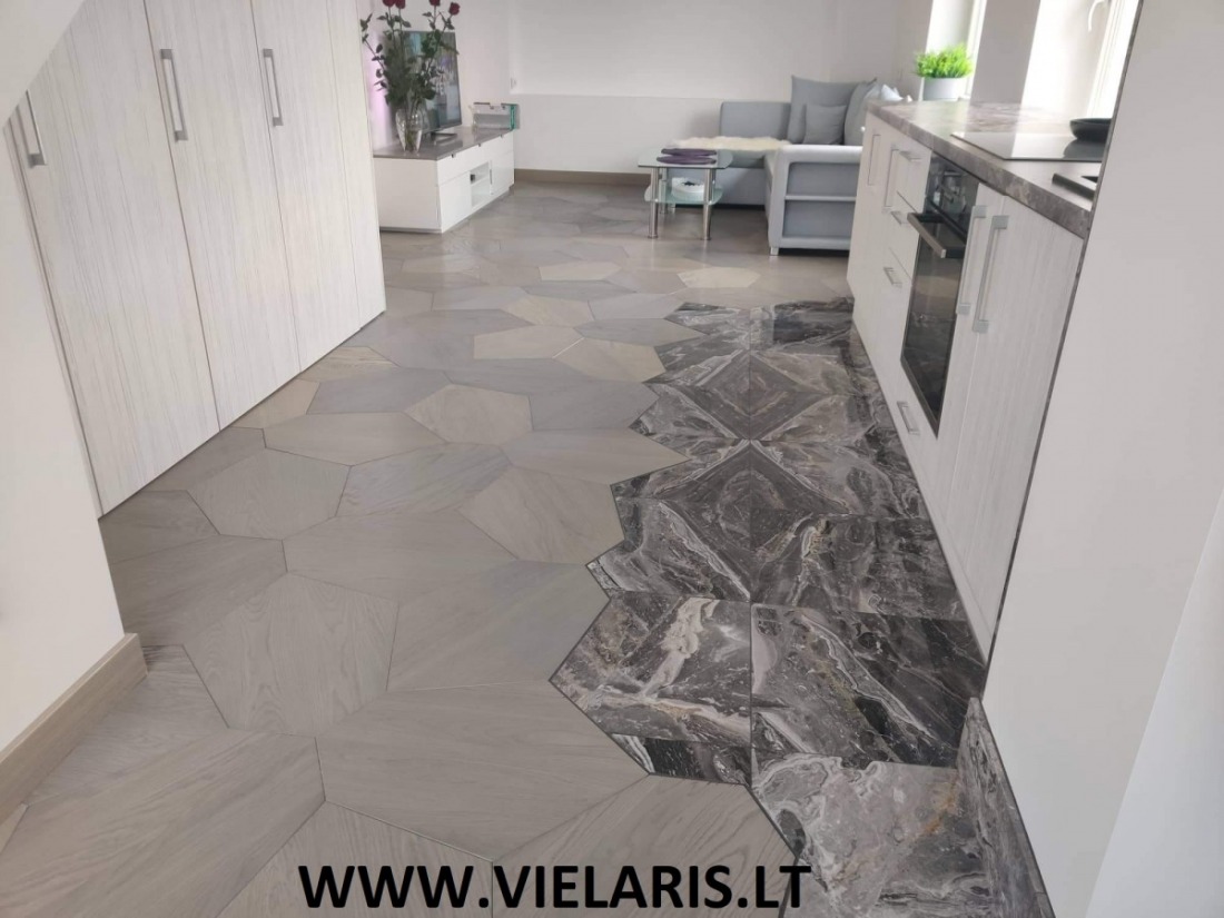 Apartment in Vilnius