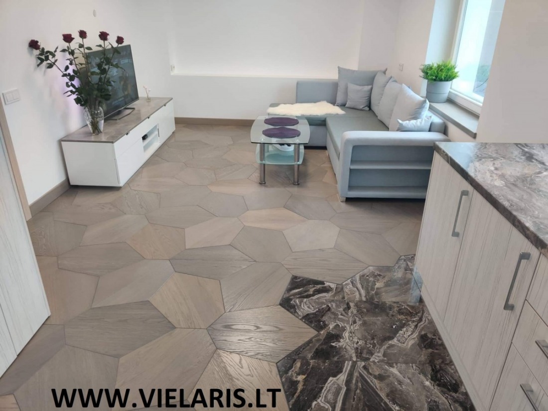 Apartment in Vilnius