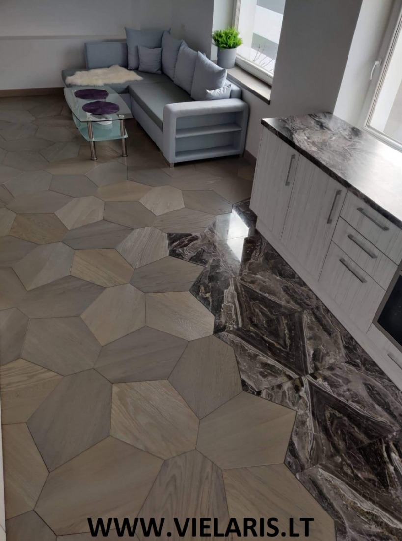 Apartment in Vilnius