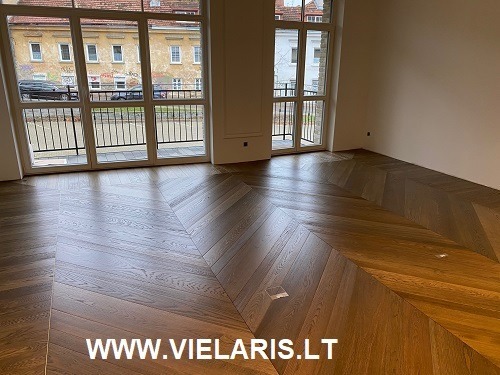 Apartment in Vilnius