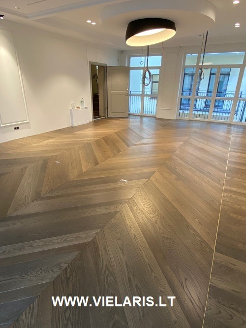 Apartment in Vilnius